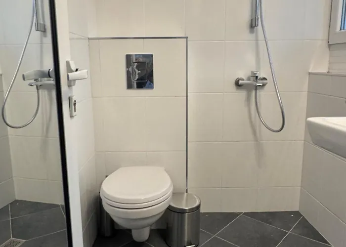 Bohome * 普罗夫迪夫